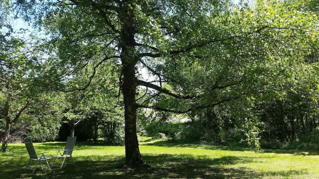 Le Cedre Enchante La Guiche Εξωτερικό φωτογραφία