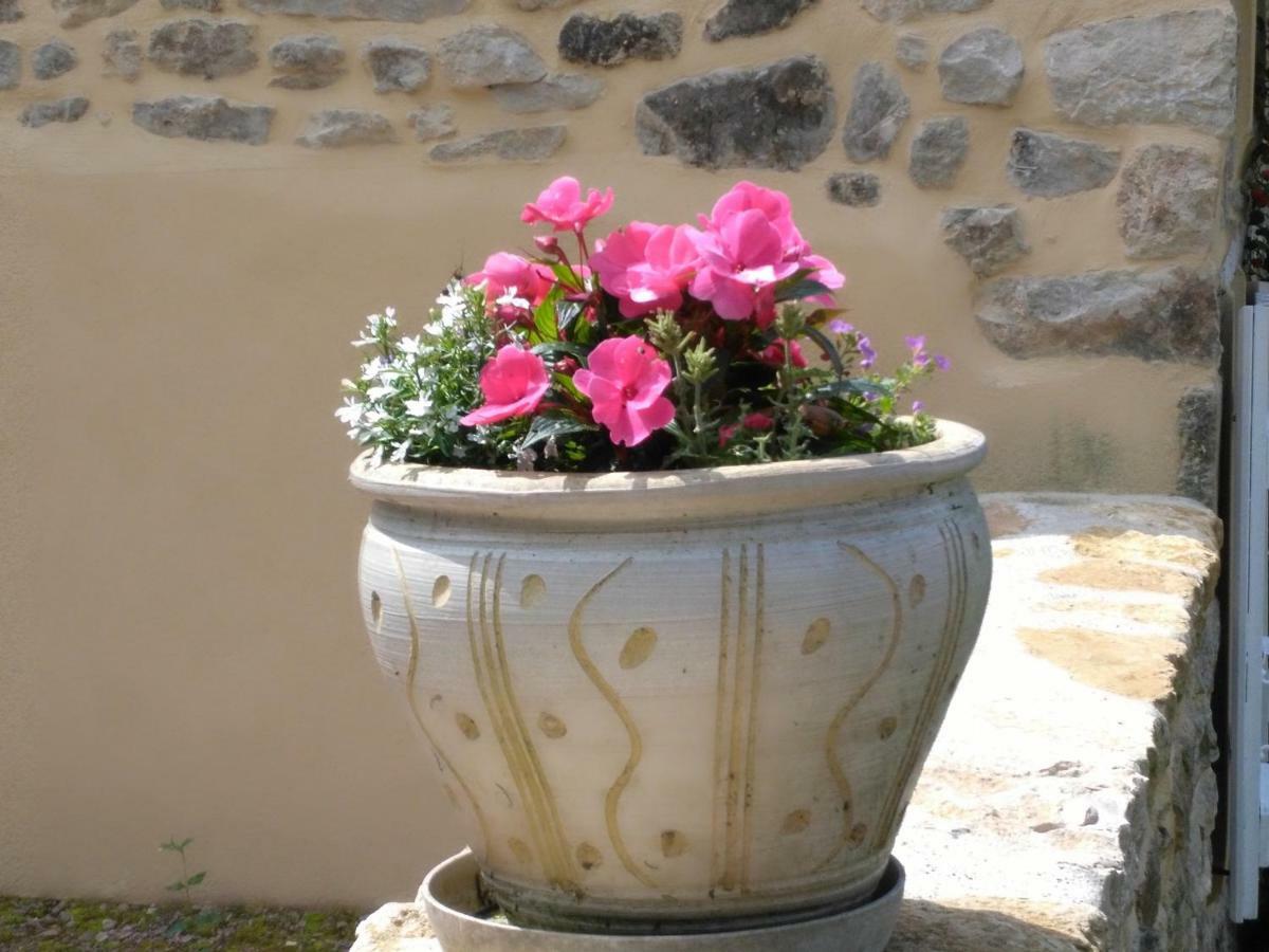 Le Cedre Enchante La Guiche Εξωτερικό φωτογραφία